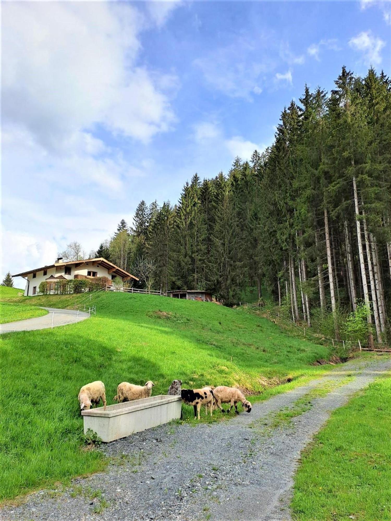 Ferienhaus Hansl Prama Kültér fotó