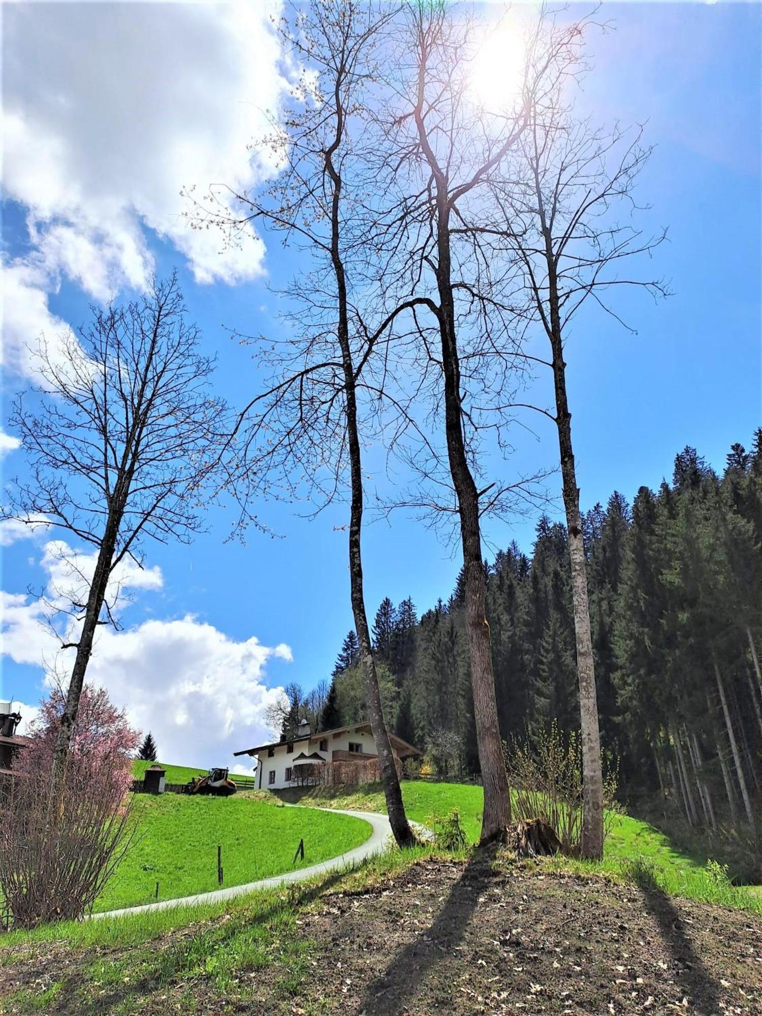 Ferienhaus Hansl Prama Kültér fotó